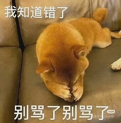 0dbfecd72ae5584063bc6e8a59333197